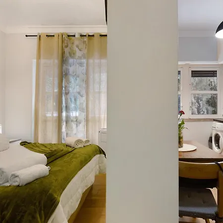 Apartamento T1 No Centro De