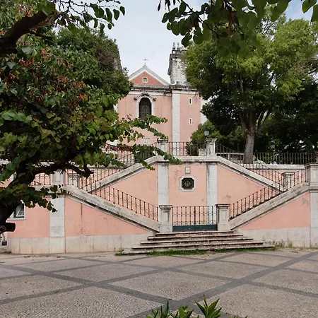 T1 No Centro De